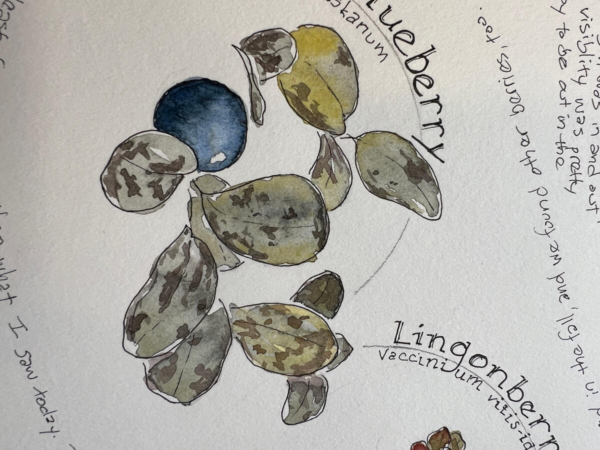 One of Sandy’s endearing qualities is her open acknowledgement (even as an accomplished artist) that art is a process, that it takes work, and that each individual has his or her own objective, approach and pace. ~Marty